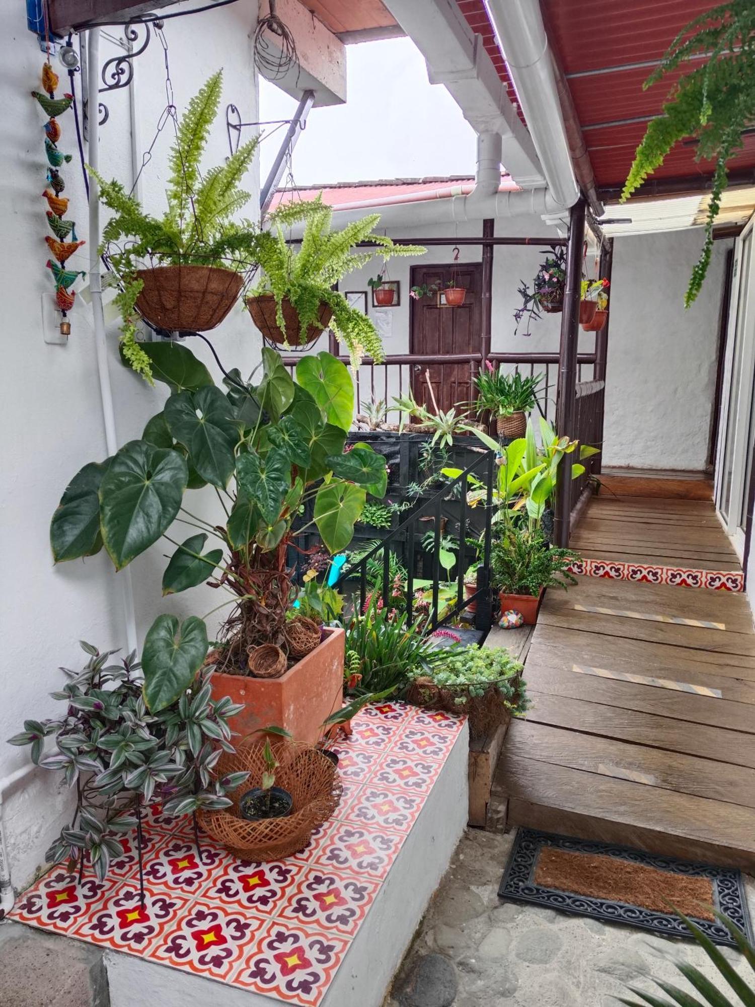 Apartaestudios La Baranda Salento Bagian luar foto