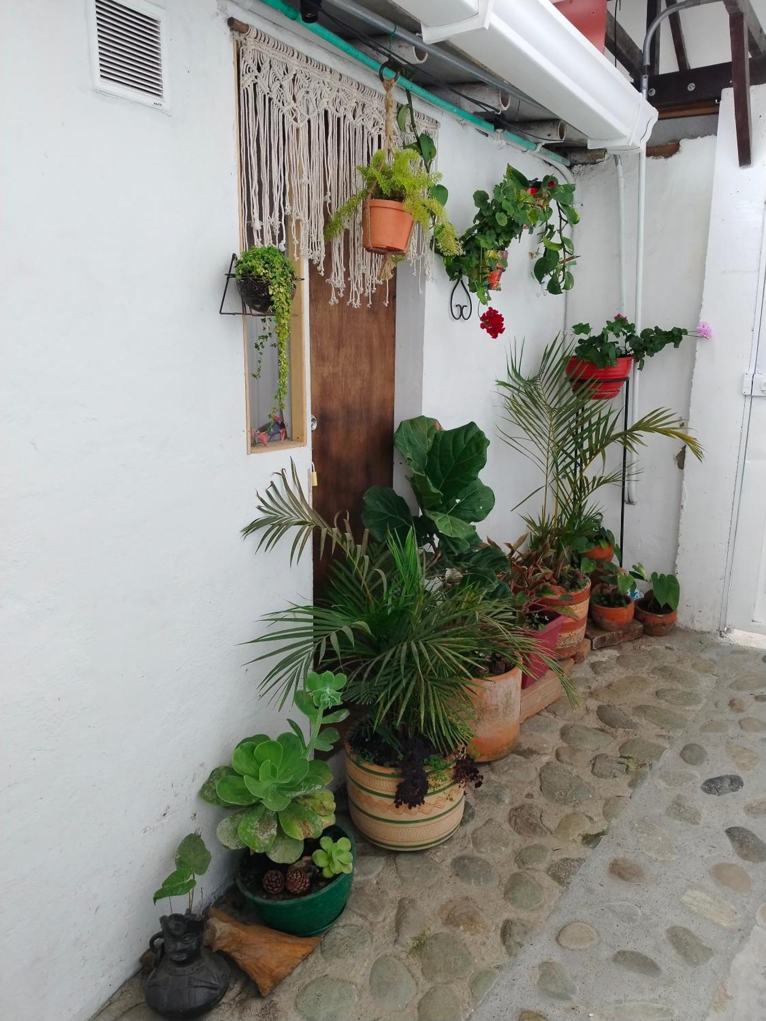 Apartaestudios La Baranda Salento Bagian luar foto